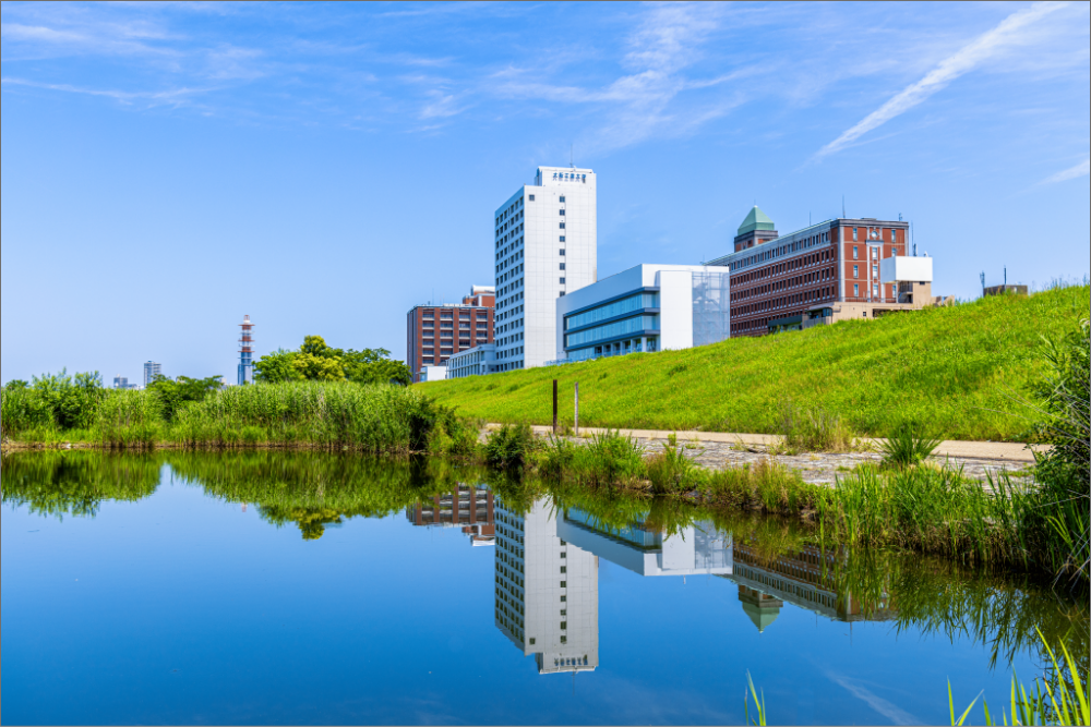 大阪の大学「学び」WEBフェアの大学サムネイル